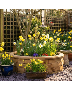 Ronde Moestuinbak - Laag / 123 x 35 cm