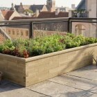 Moestuinbak XXXL - Middelhoog / 375 x 150 x 55 cm