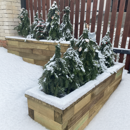 Wat je in januari in je tuin kunt doen