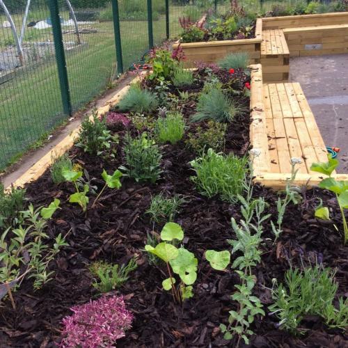 Verhoogde plantenbakken voor Woodlands Academy