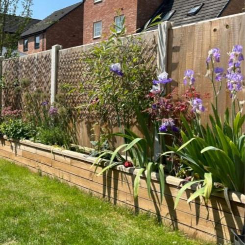 De verhoogde tuin van Beth