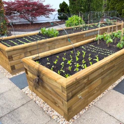 De verhoogde moestuin van Antonio & Lorena