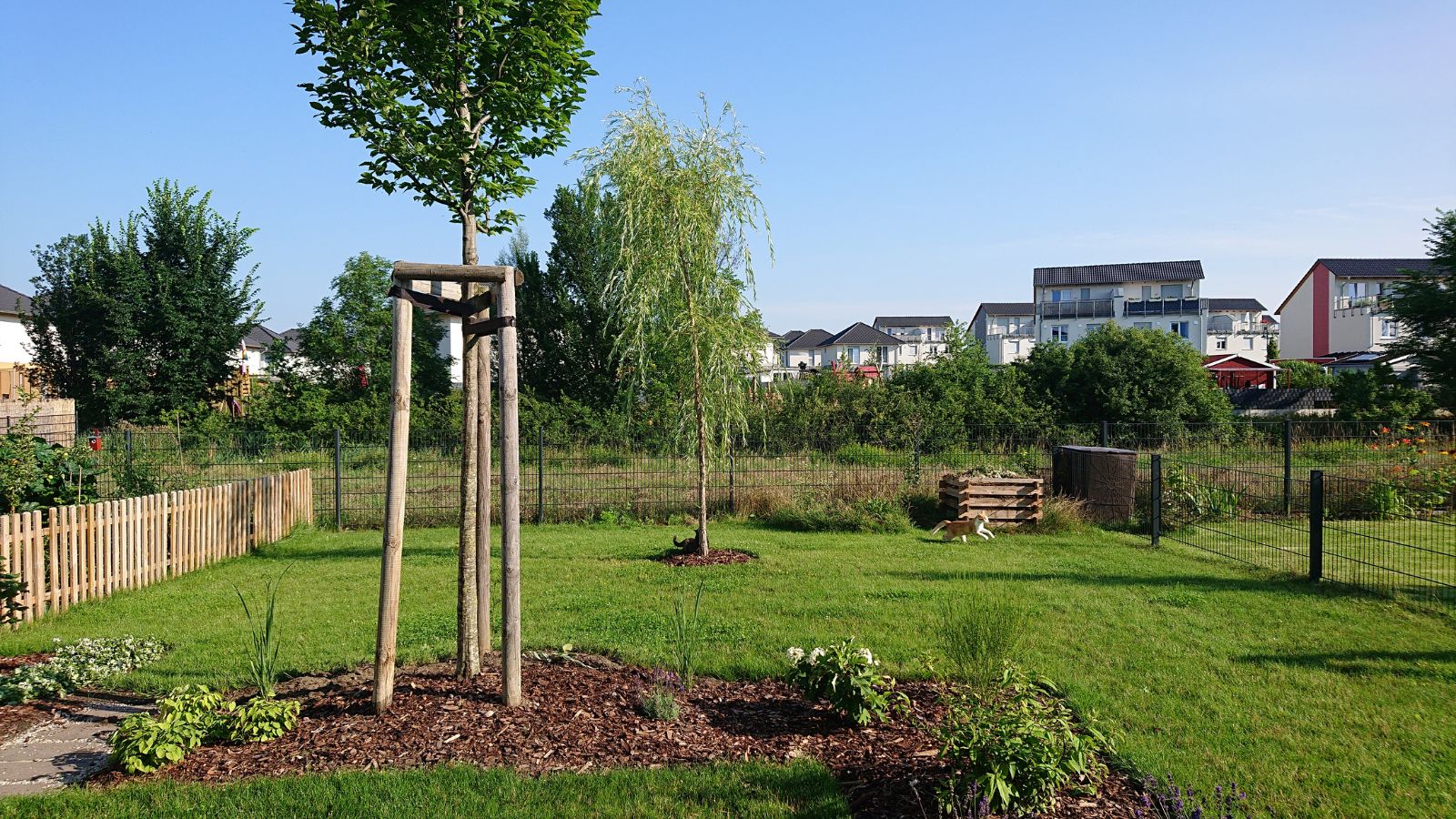 Sebs-garden-before (1)