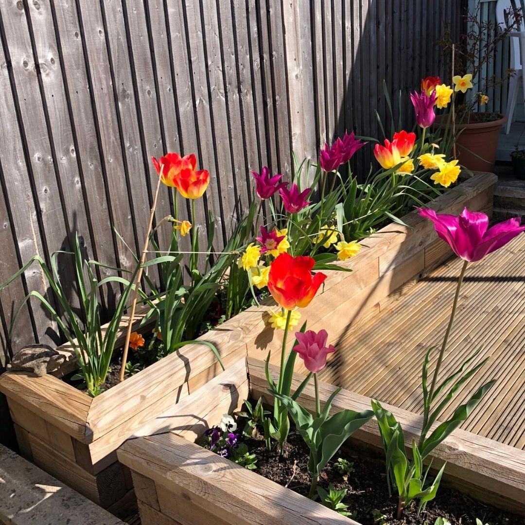 Narrow-planter-box